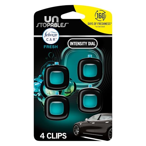 Best Car Air Fresheners