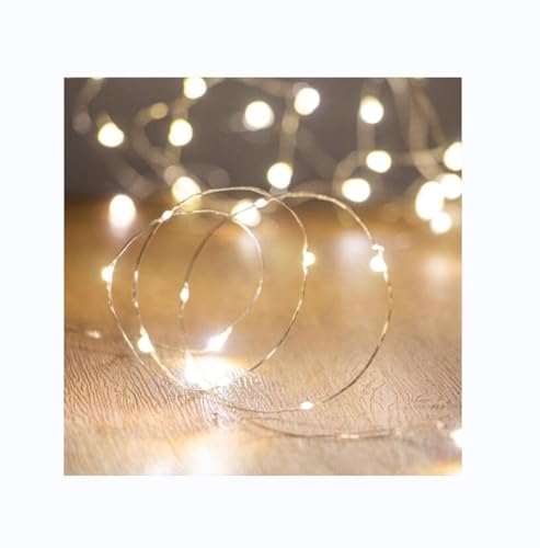 Best Outdoor Christmas Lights